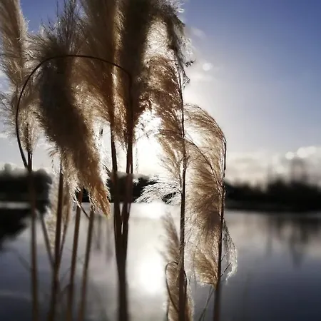 Prázdninový dům Skandinavisches Ferienhaus Am See Twist
